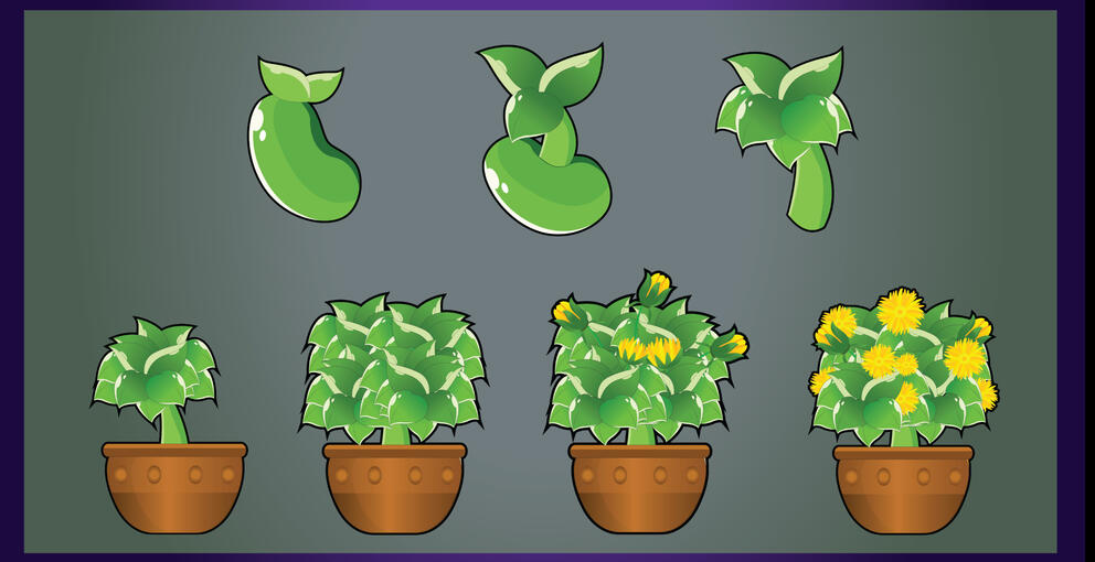Plants Evolution